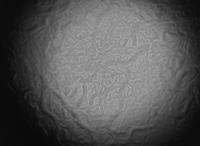 WormPicker2.0_HighMag_Camera project thumbnail