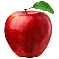 fruit-detector project thumbnail