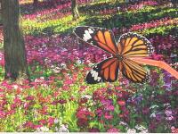 Butterfly detect project thumbnail