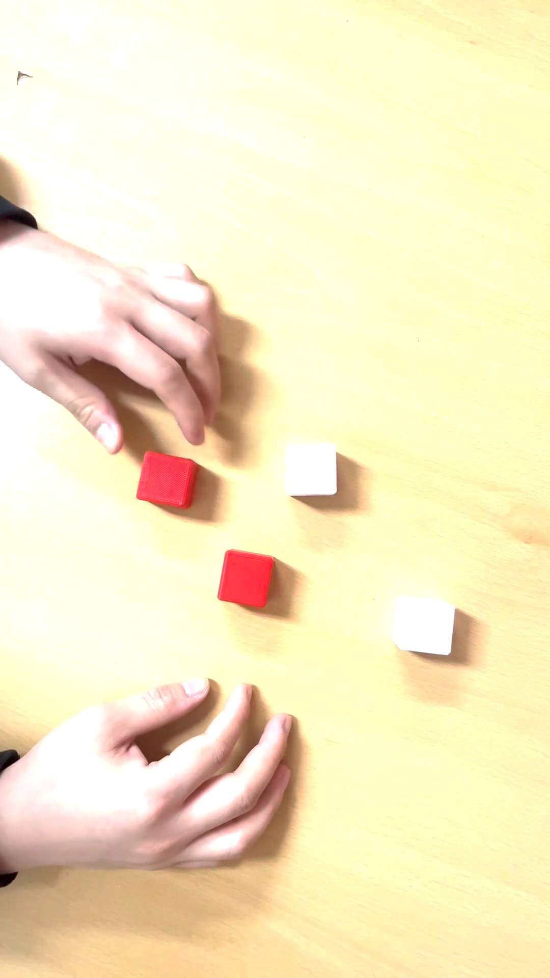 block Instance Segmentation Model by mumui