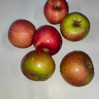 Dataset Image