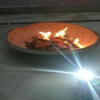 wildfire project thumbnail