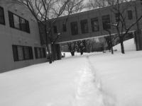 snow project thumbnail