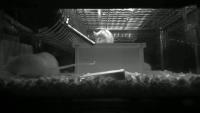 test_long project thumbnail