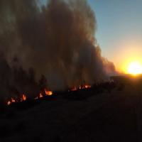 Fire Detection project thumbnail
