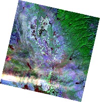 Dataset Image