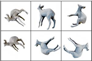 bulls-rotated Object Detection Model by Linmei