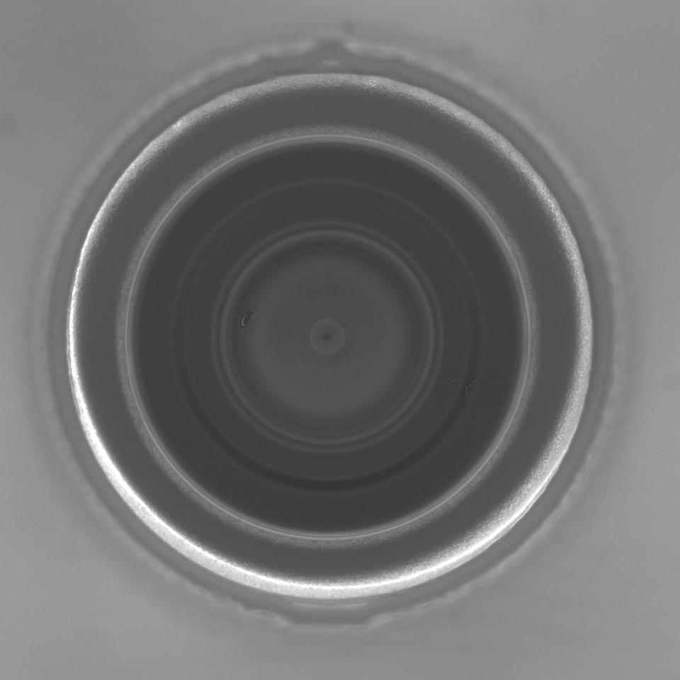 lens-defect-detection-only Instance Segmentation Model by tushar