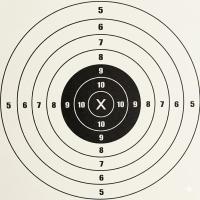 Bullet_Hole_YOLOv8 project thumbnail
