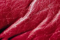 UIT-VIDA project thumbnail
