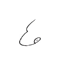 Stenosalin project thumbnail