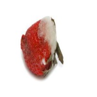 Fruits project thumbnail