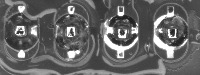 pcb_seg project thumbnail