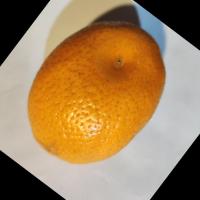 fresh_orange project thumbnail