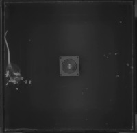 complexhuntingattempt project thumbnail