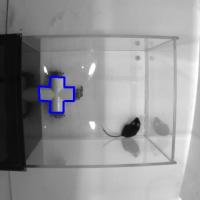 c11-_8468_cplx1-practice-detect project thumbnail
