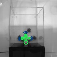 LabGym Practice project thumbnail