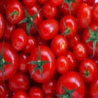 Find brinjals project thumbnail