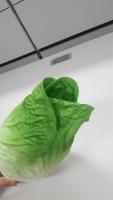 smart_cook project thumbnail