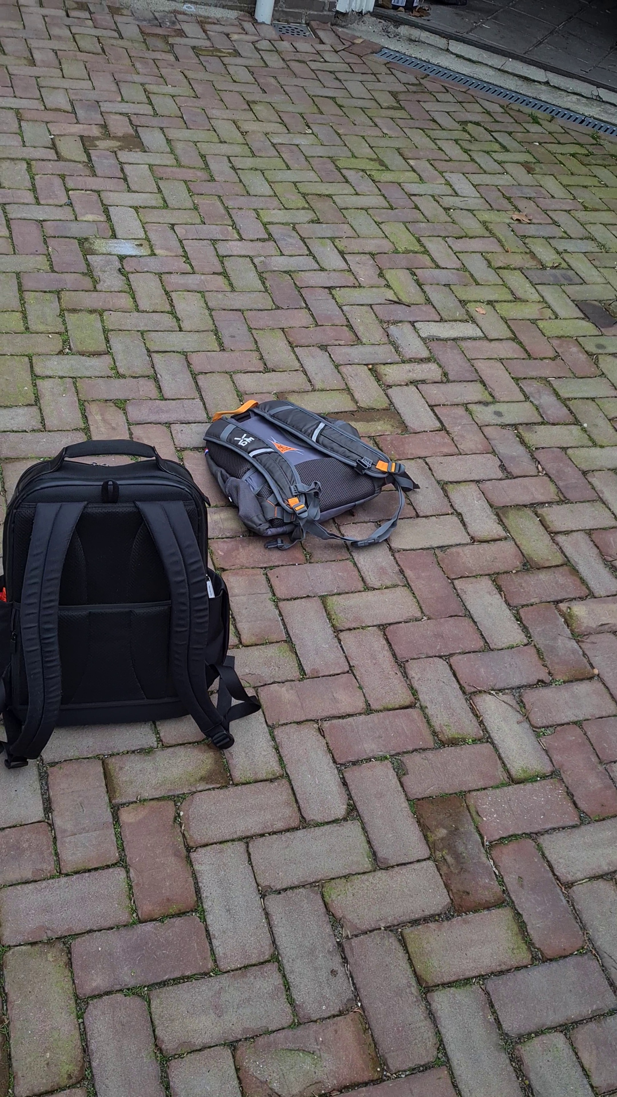 Test2 Object Detection Dataset (v1, 2024-03-08 10:30am) by tEST