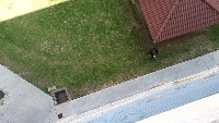 Aerial project thumbnail