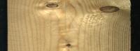 Wood defect detection - test project thumbnail