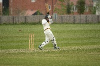 Cricket project thumbnail