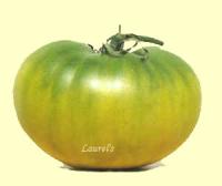 tomato_ripeness project thumbnail