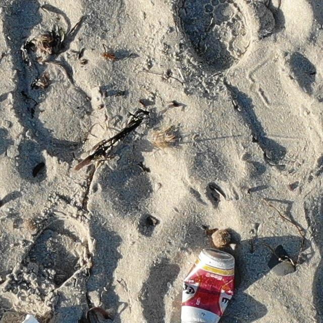 rabi3 - Roboflow Universe