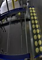 RoboflowTest project thumbnail