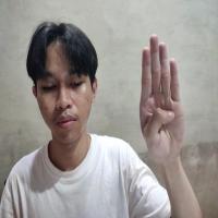 Dataset Image