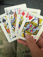 Dataset Image