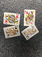 Dataset Image