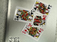 Dataset Image