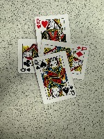 Dataset Image
