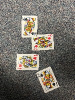 Dataset Image