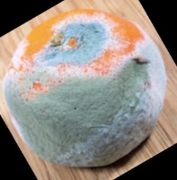 Dataset Image