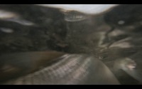 Milkfish disease project thumbnail