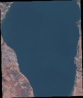 Dataset Image