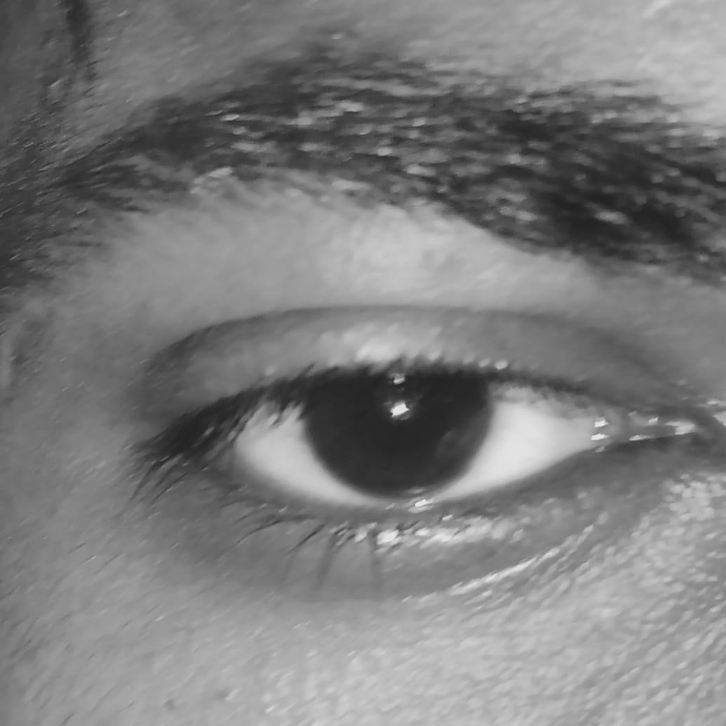 Eye Model Object Detection Model by Deveshworkspace
