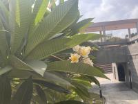 CSIE_plants project thumbnail