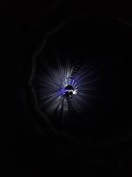 Dark enviroment bioluminescence project thumbnail