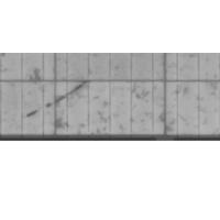 CellDetection-seg project thumbnail