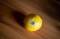lemon_sorting project thumbnail