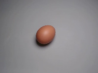 egg project thumbnail