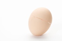 Egg Crack Detection project thumbnail
