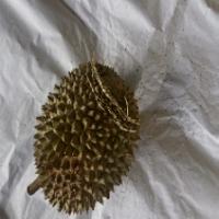 Durian Detection project thumbnail