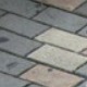dogs project thumbnail