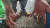 Dataset Image