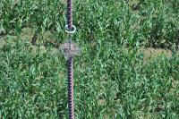 Bird's Nest Detection project thumbnail